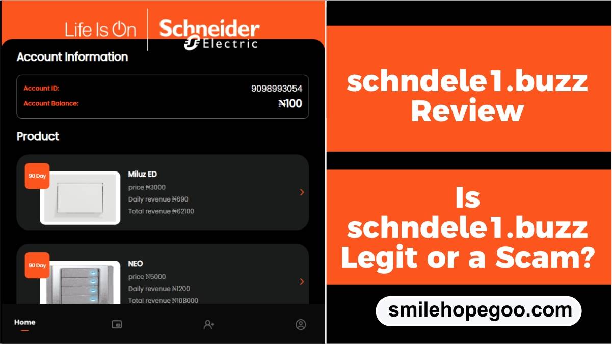 Schndele1.buzz Review – Is Schndele1.buzz Legit, Scam and Paying?